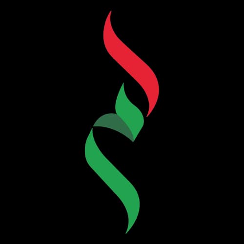 Amer Services logo and documents
